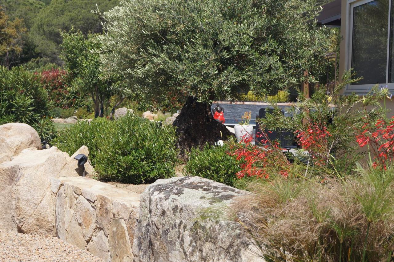 Les Jardins De Santa Giulia - Charmante Chambre D'Hote 2 Porto-Vecchio  Exteriör bild